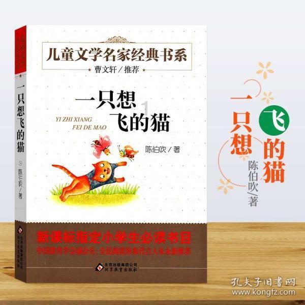 上升的五彩石